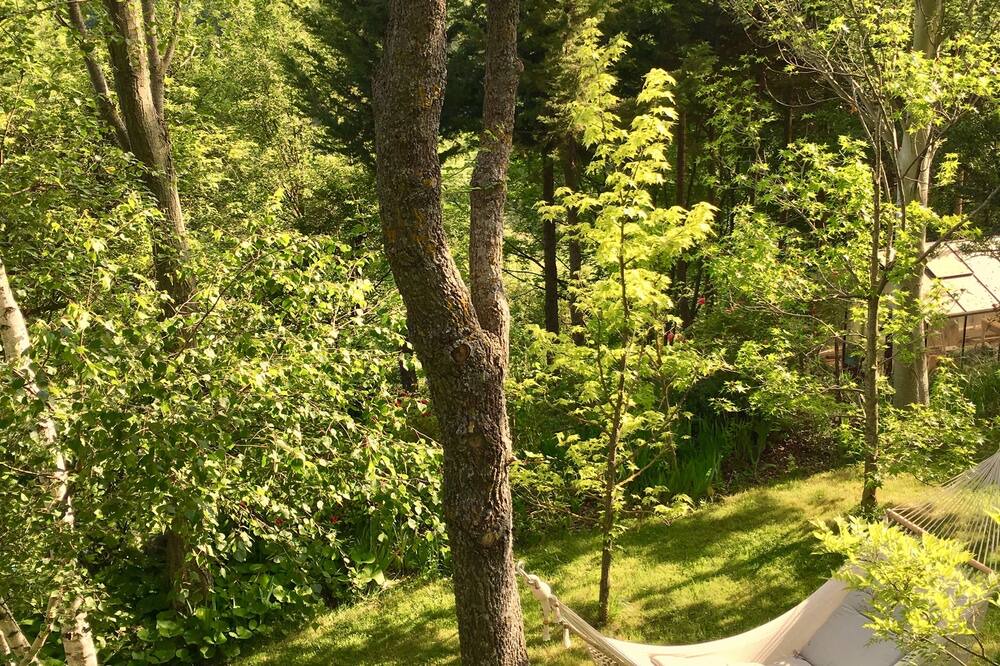 Photo of Outdoor in Coursegoules