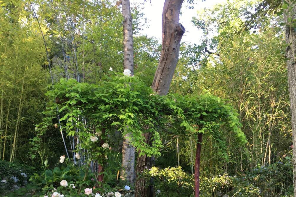 Photo of Outdoor in Coursegoules