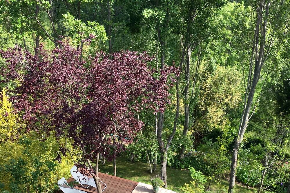 Photo of Outdoor in Coursegoules