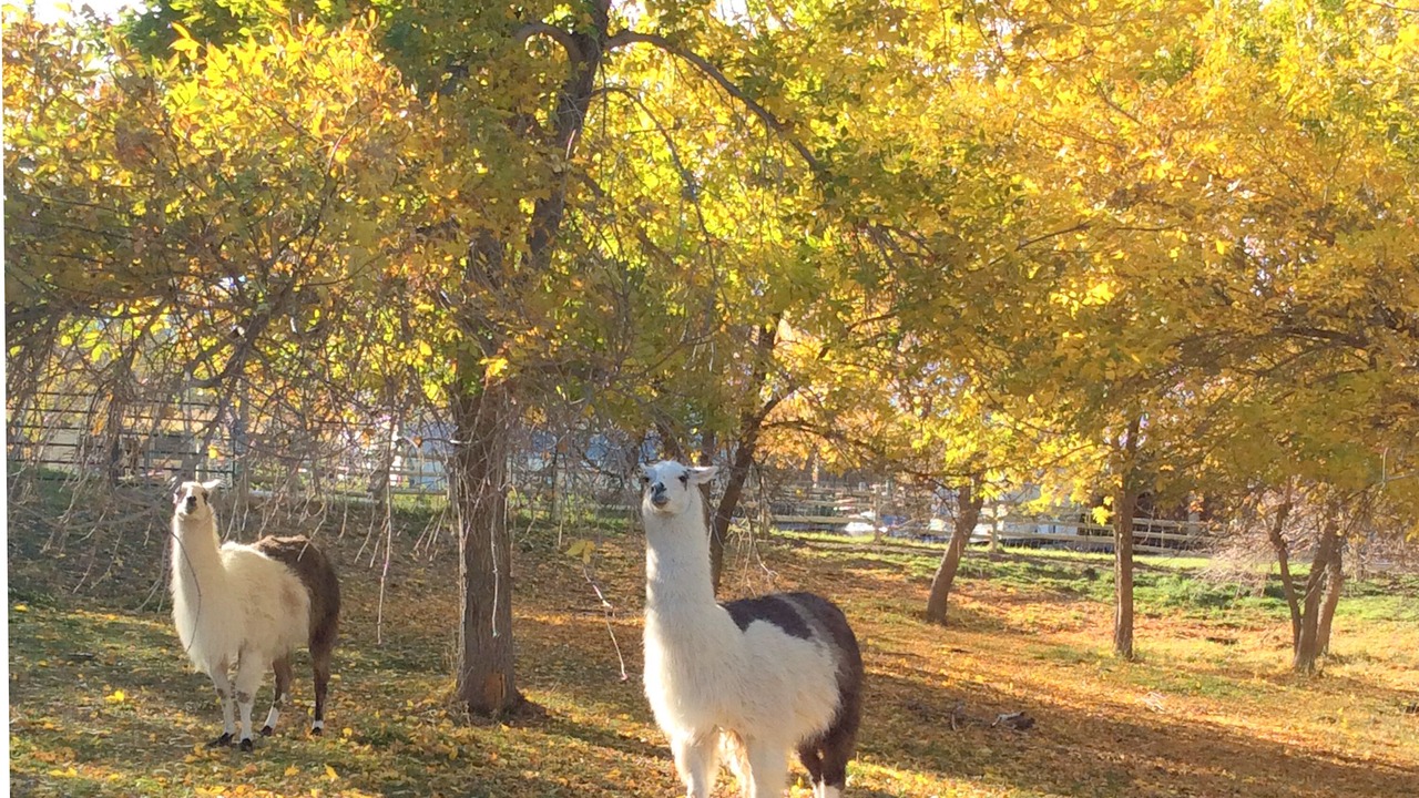 Photo of Outdoor in Lander