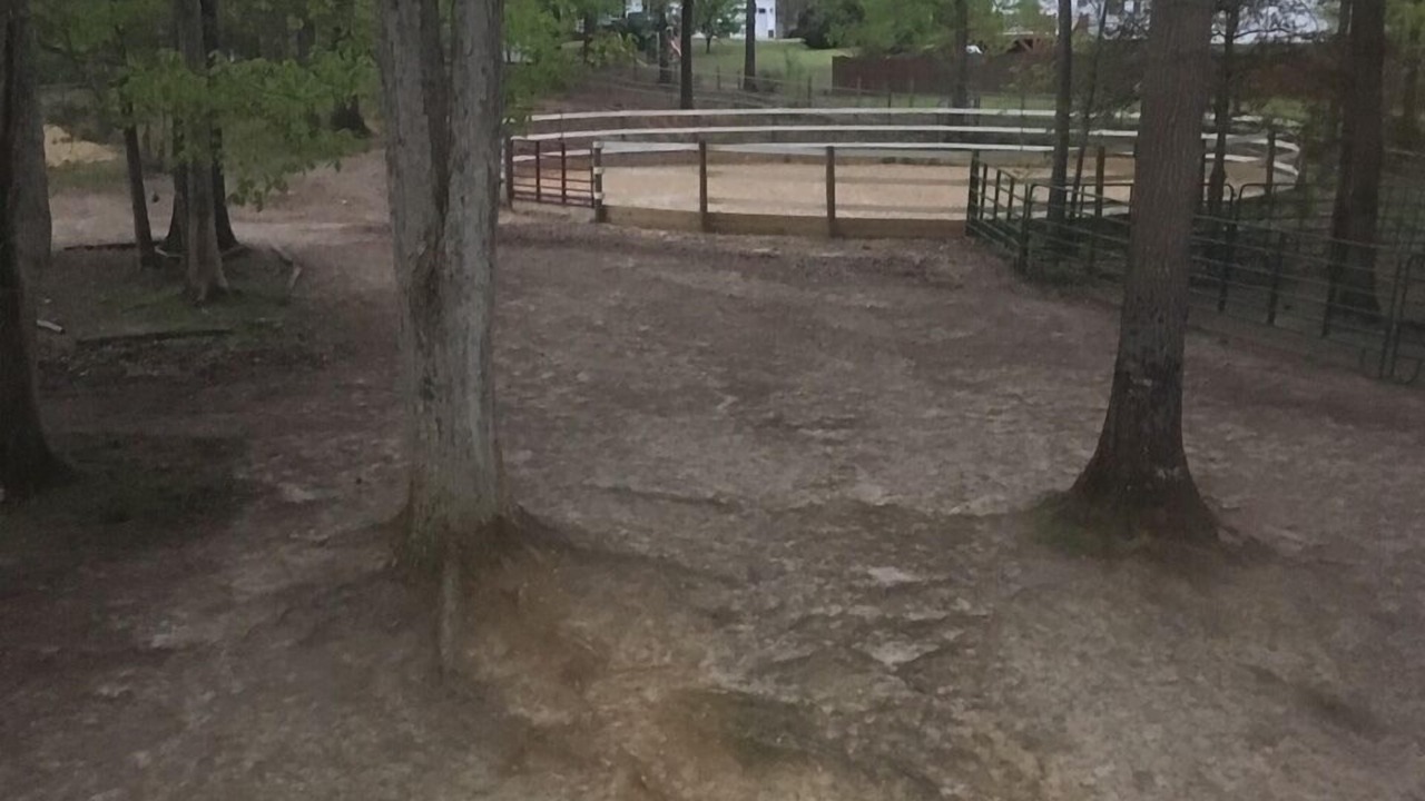 Photo of Others in Clayton