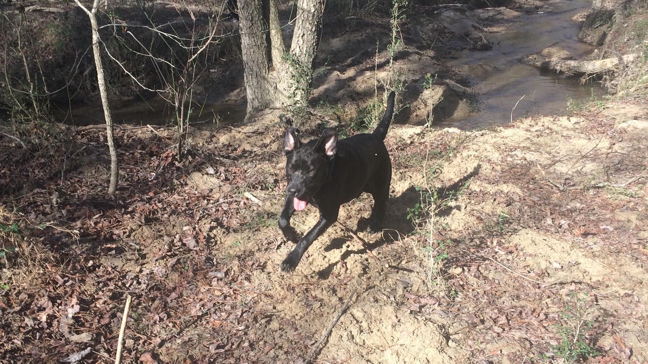Photo of Outdoor in Clayton