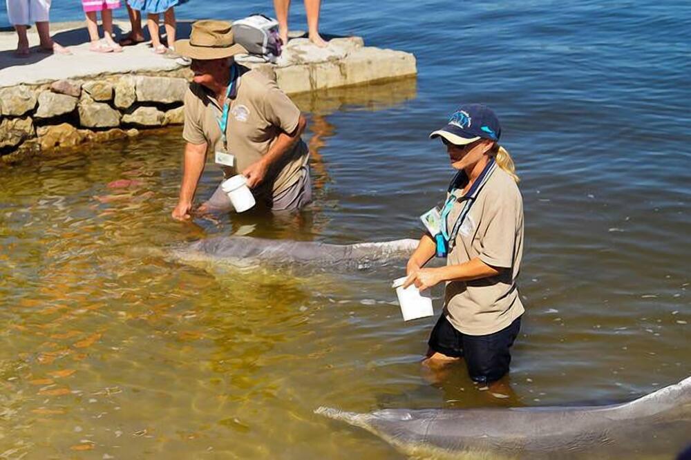 Photo of Others in Tin Can Bay