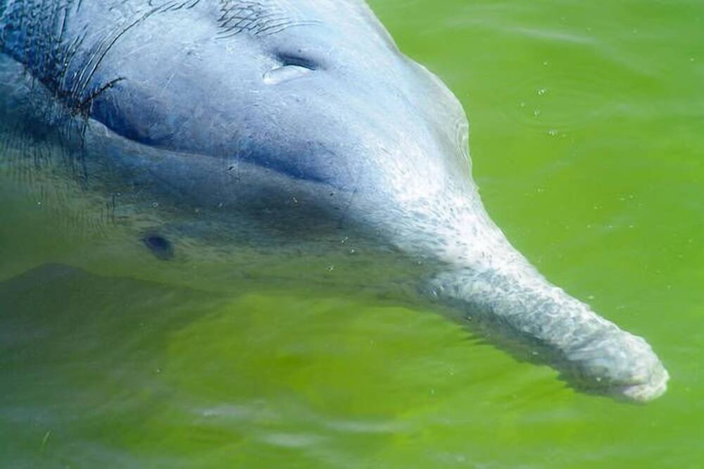 Photo of Others in Tin Can Bay