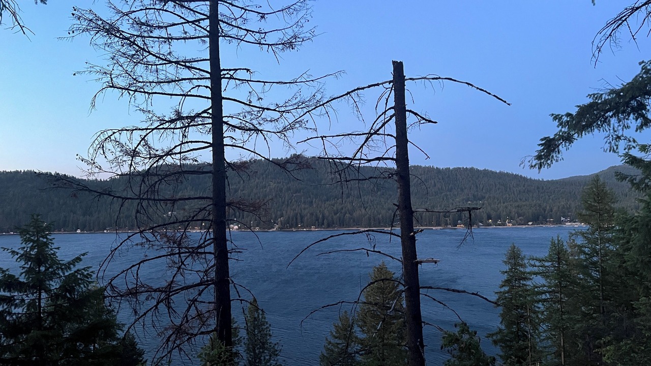 Photo of Others in Loon Lake