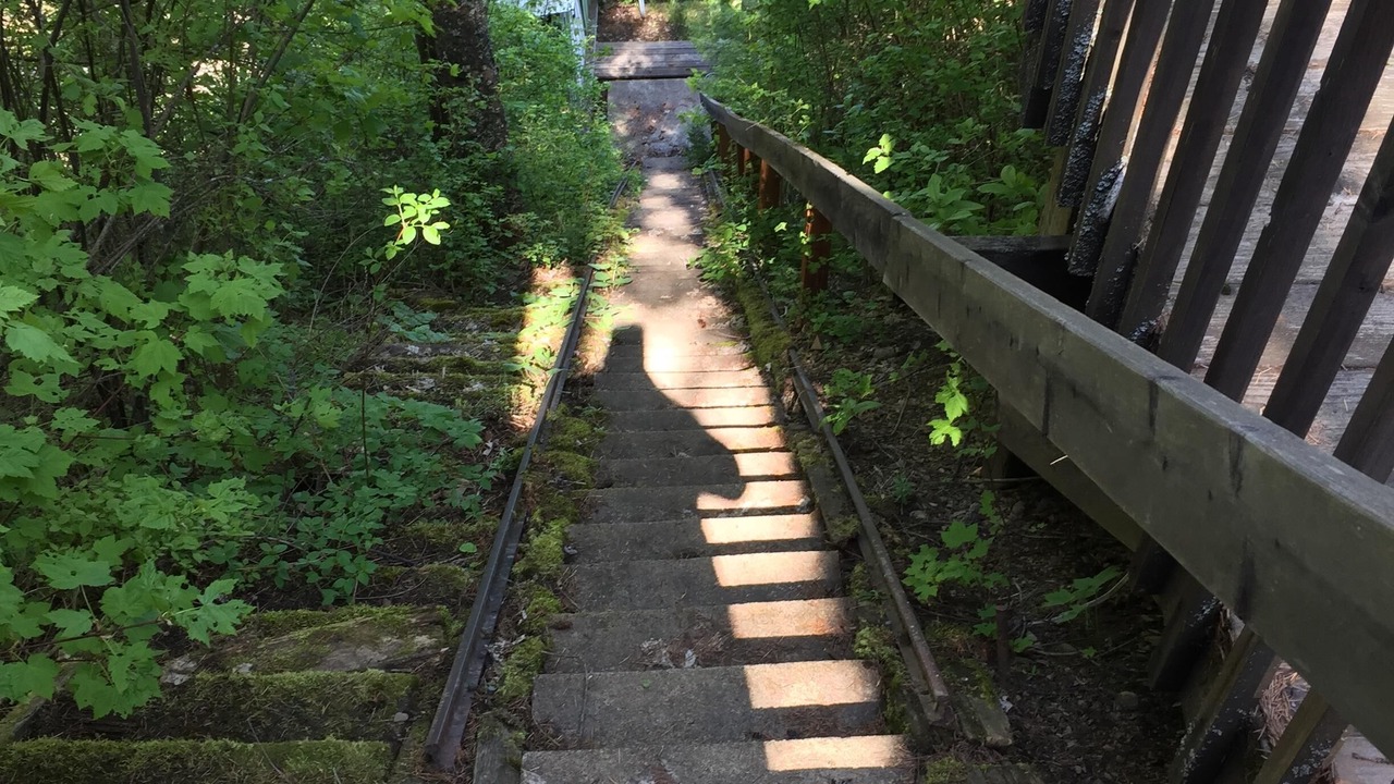 Photo of Outdoor in Loon Lake