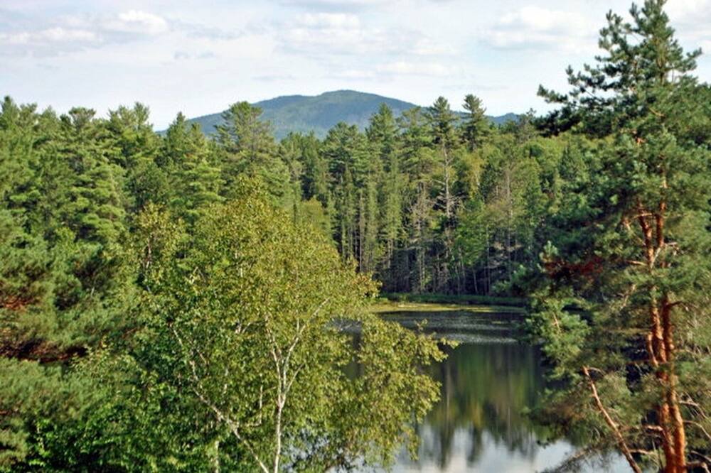 Photo of Outdoor in Saranac Lake