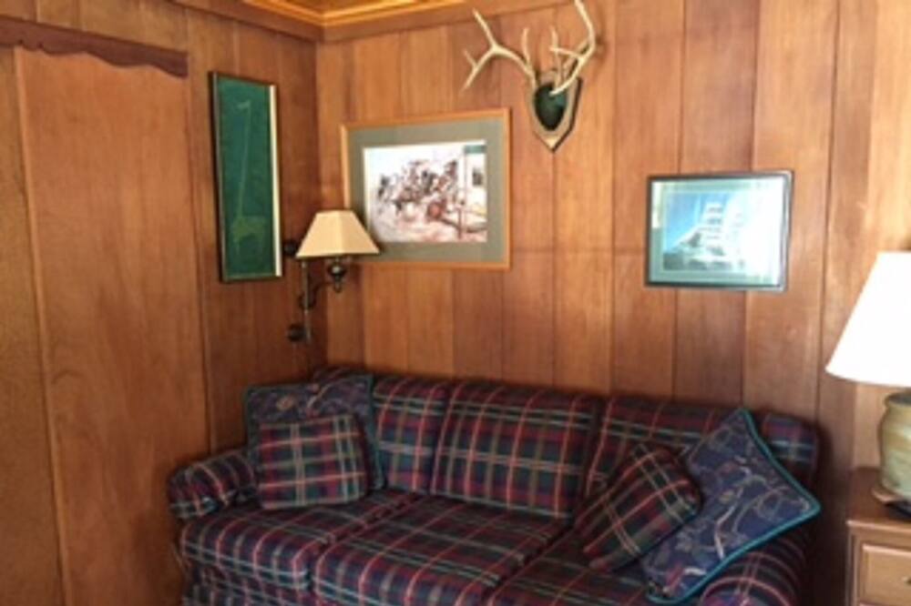Photo of Livingroom in Saranac Lake