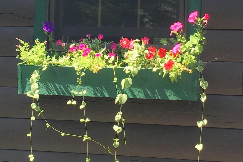 Photo of Others in Brooksville