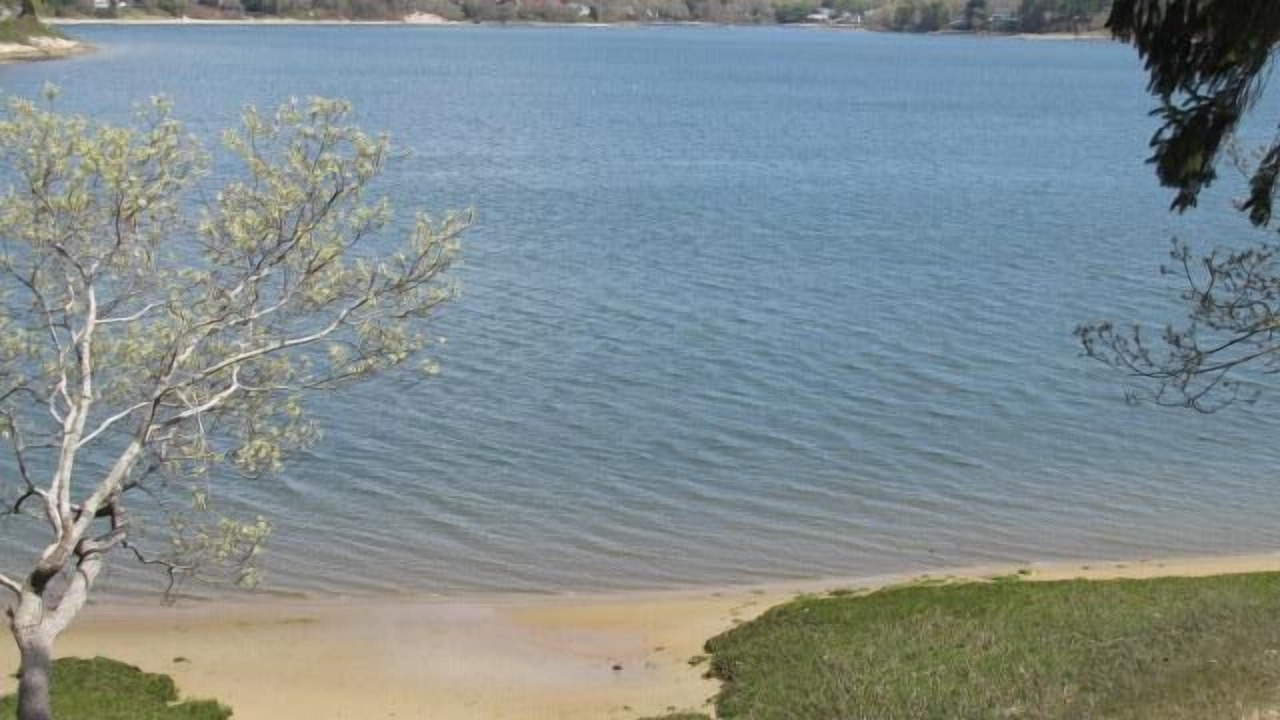 Photo of Others in Buzzards Bay