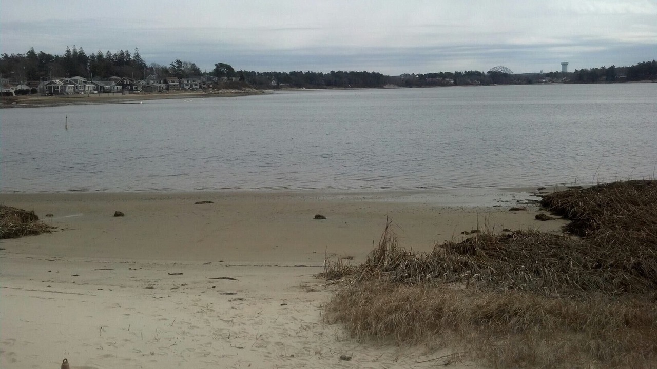 Photo of Others in Buzzards Bay