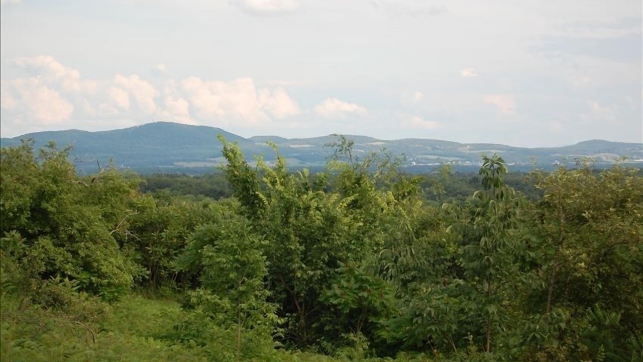 Photo of Others in Johnsonville