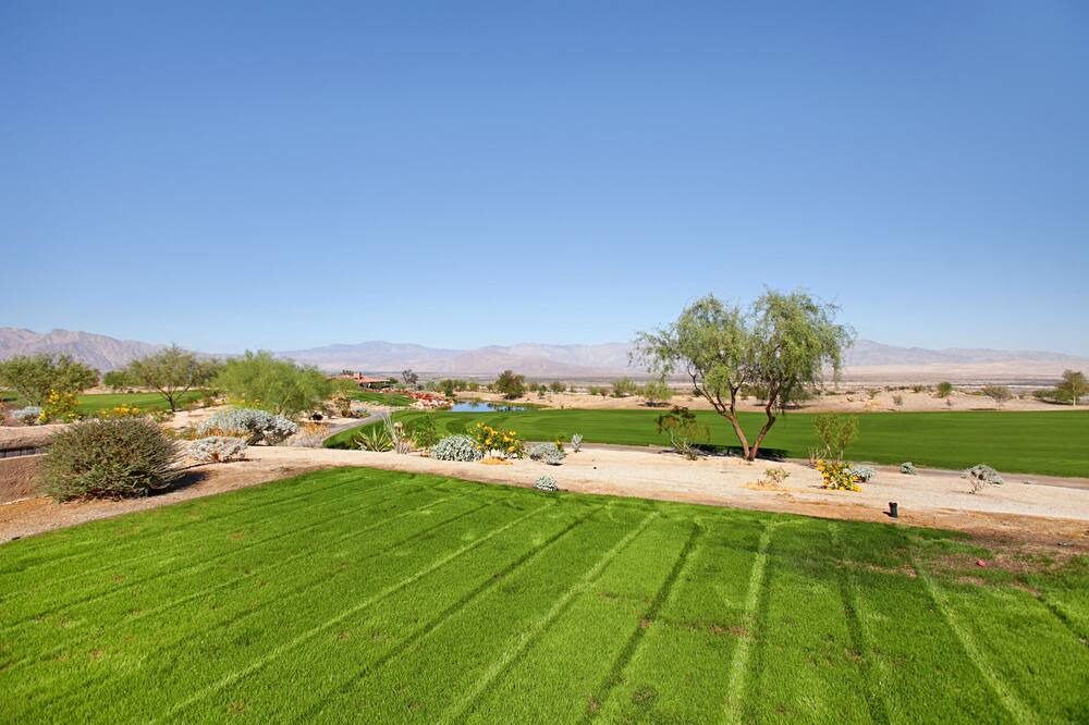 Photo of Outdoor in Borrego Springs