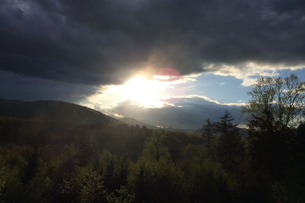 Photo of Others in Milan