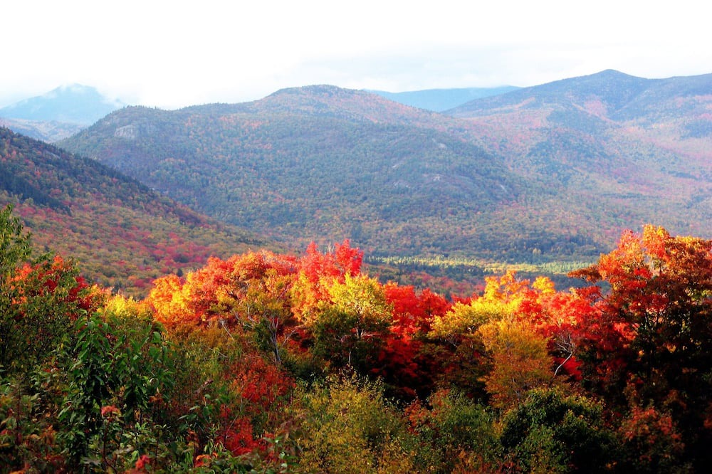 Photo of Outdoor in Milan