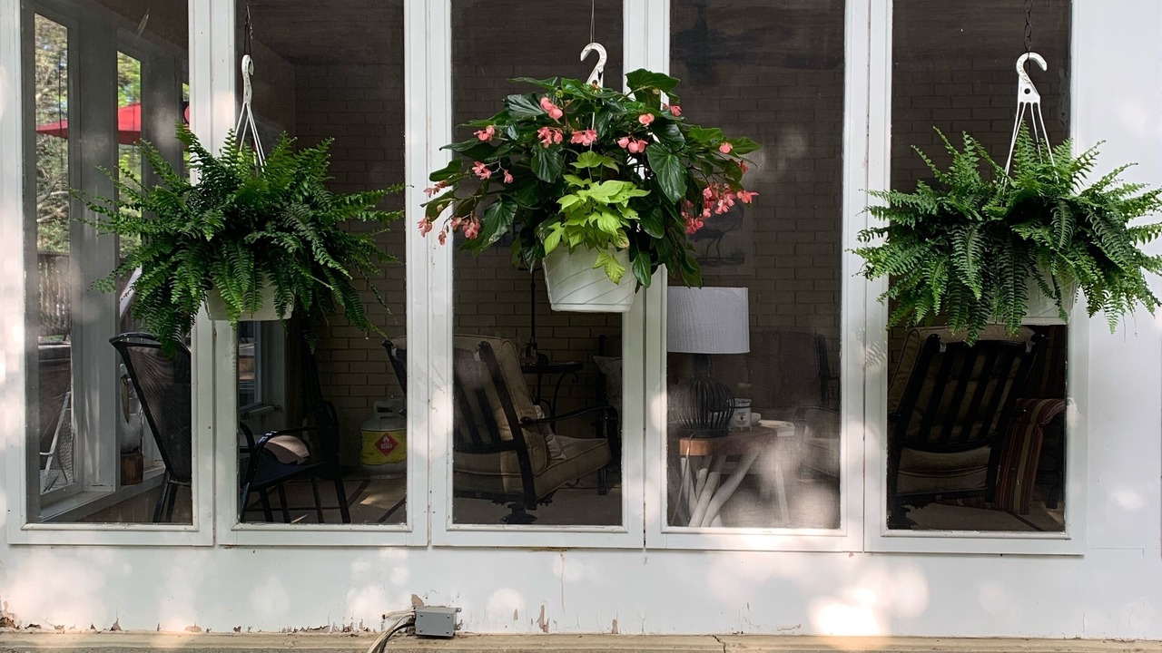 Photo of Outdoor in Glen Huron