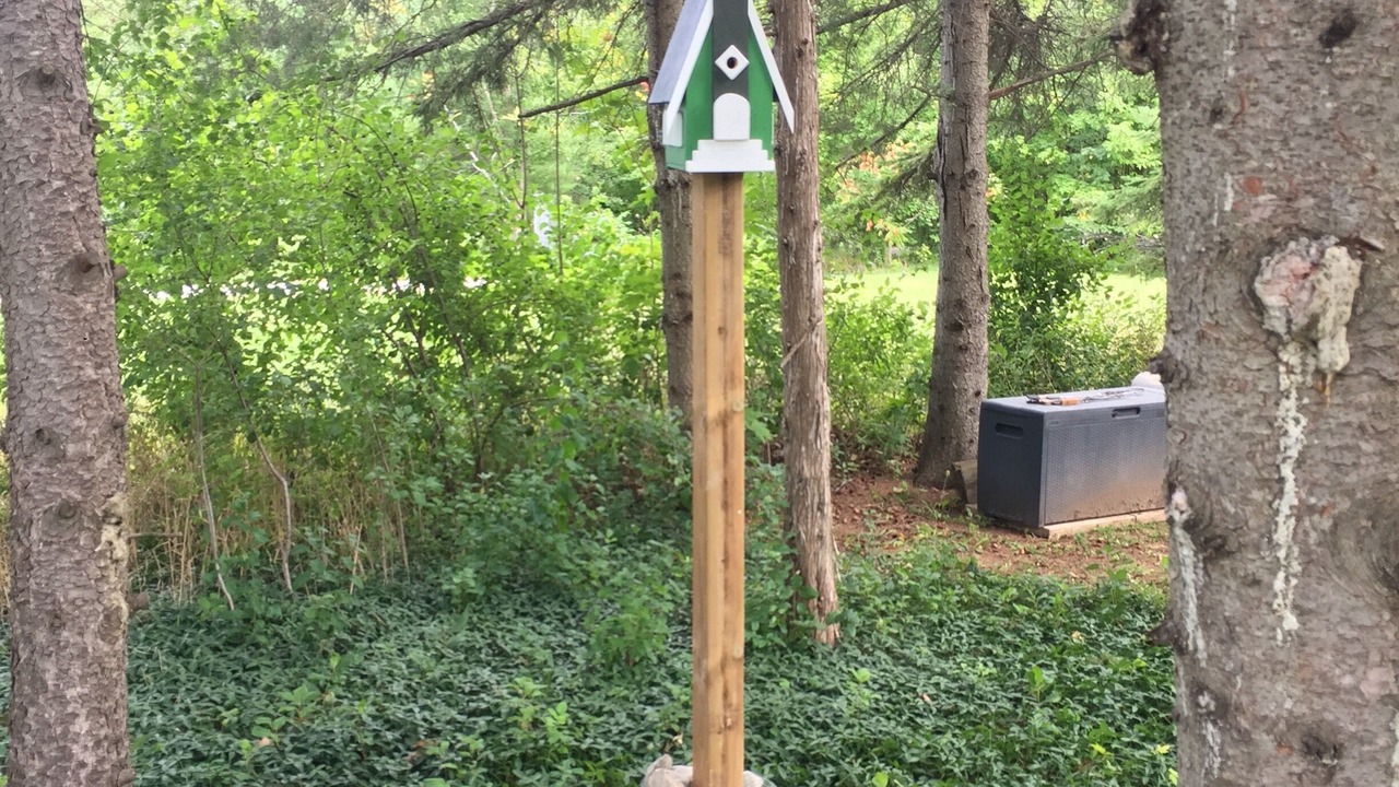 Photo of Outdoor in Glen Huron