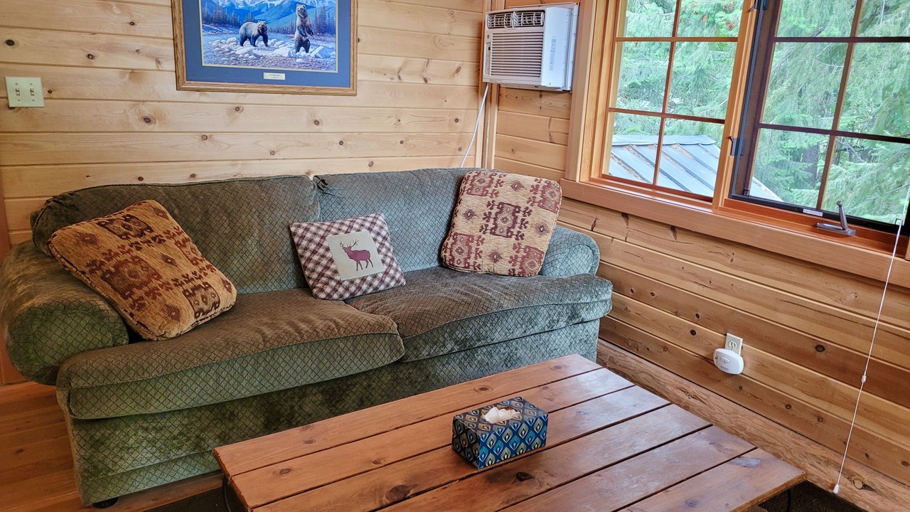 Photo of Livingroom in Mazama