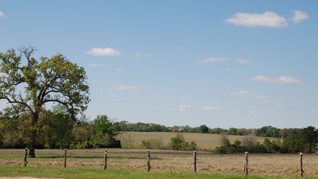 Photo of Outdoor in Madisonville