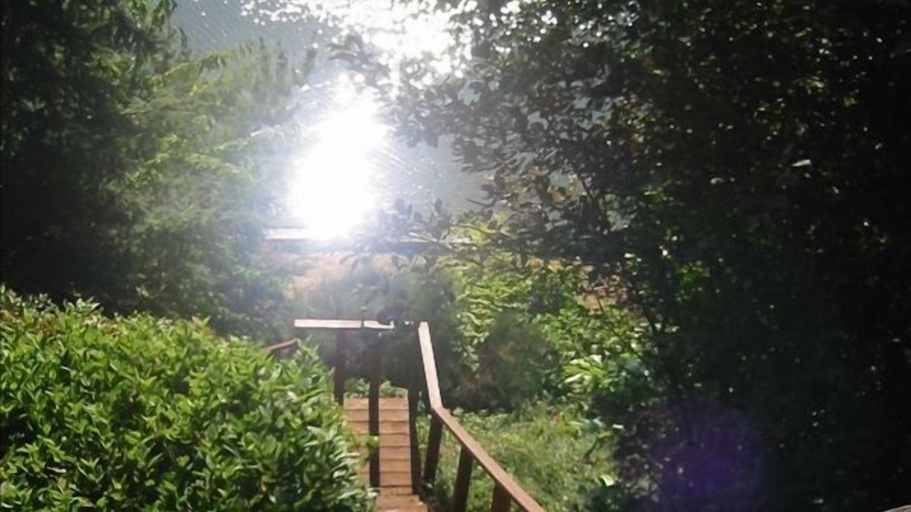 Photo of Outdoor in Vashon Island