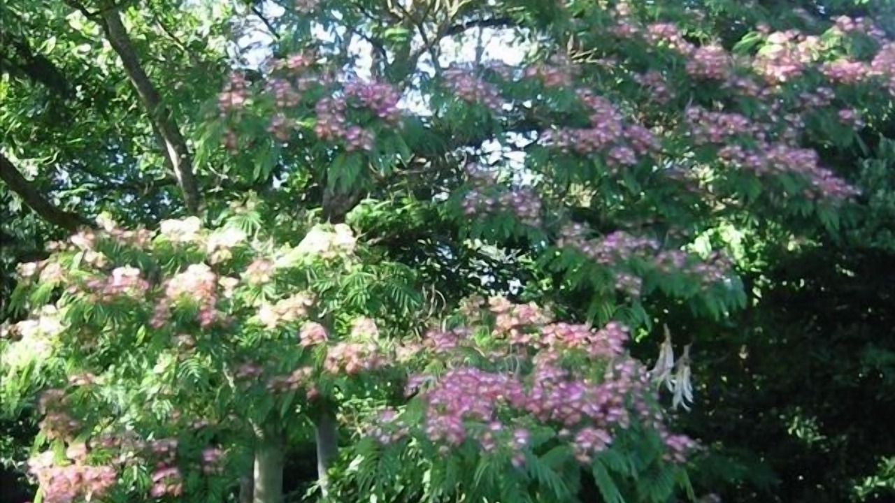 Photo of Outdoor in Vashon Island