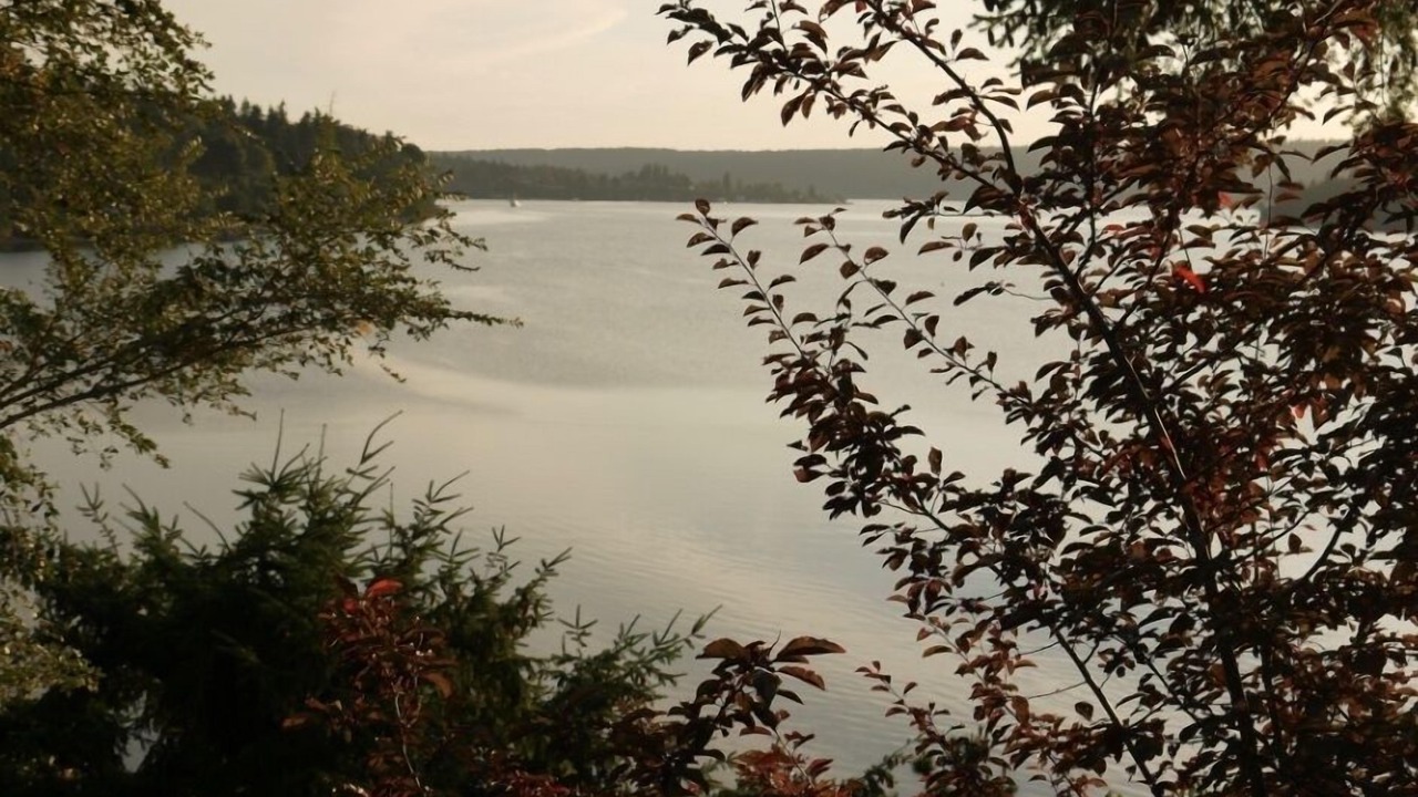 Photo of Others in Vashon Island