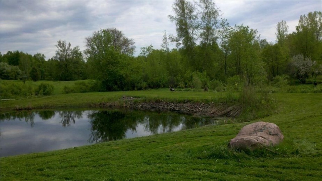 Photo of Others in Parish