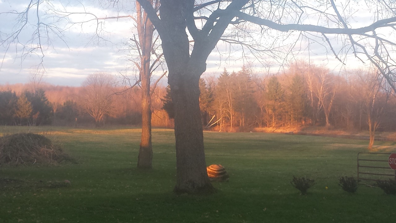 Photo of Outdoor in Parish