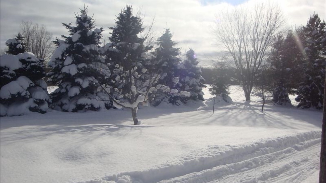 Photo of Outdoor in Parish