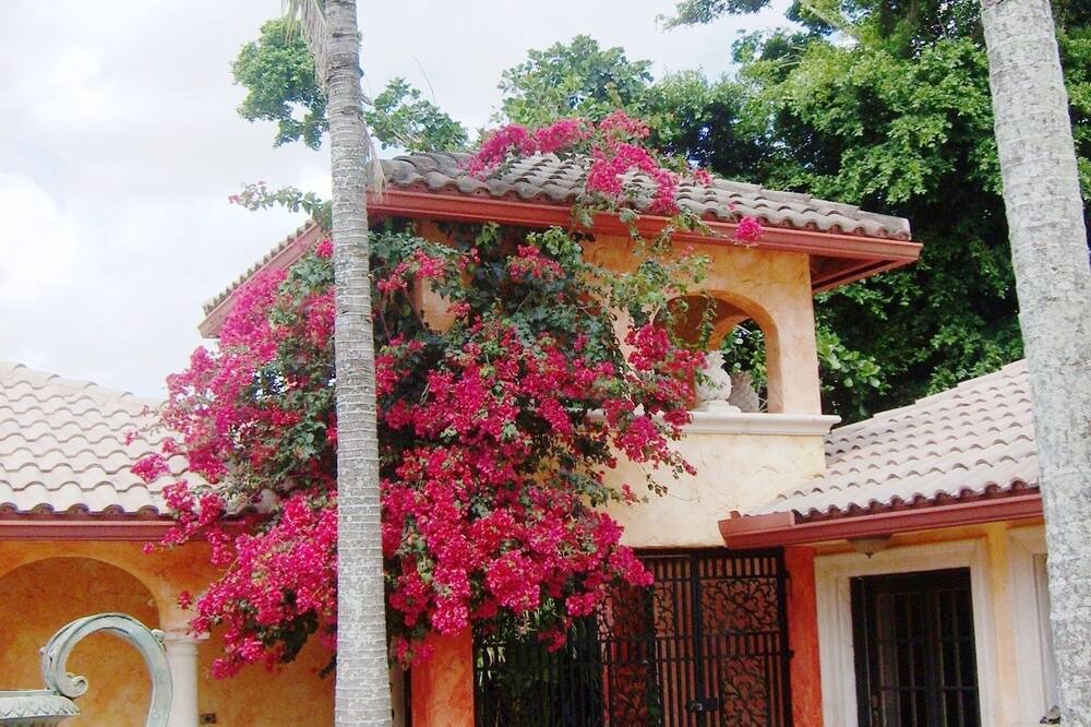 Photo of Others in Plantation