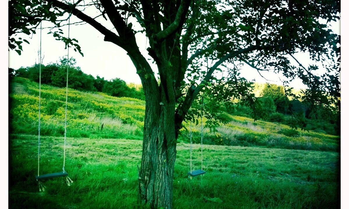 Photo of Outdoor in Cobleskill