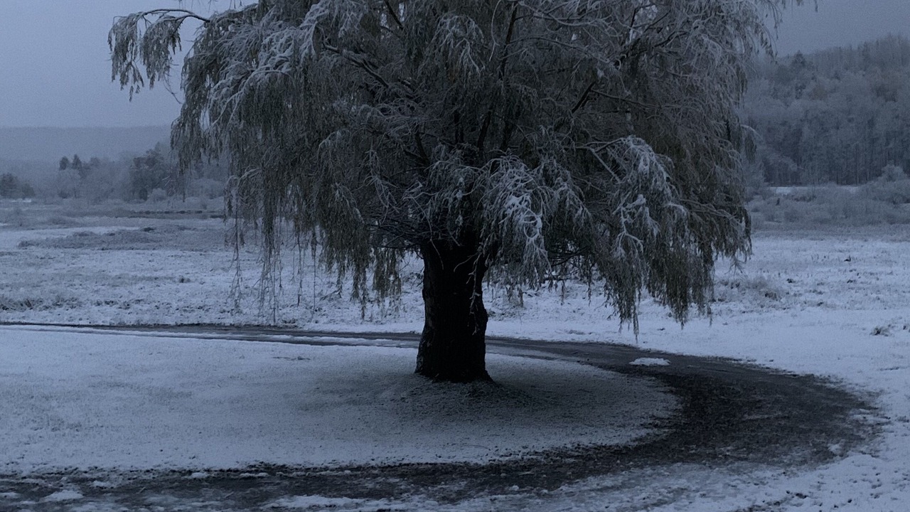 Photo of Outdoor in Cobleskill