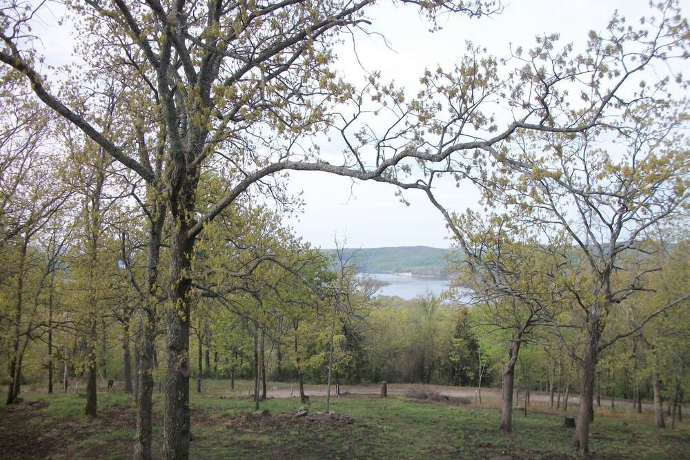 Photo of Others in Pettit