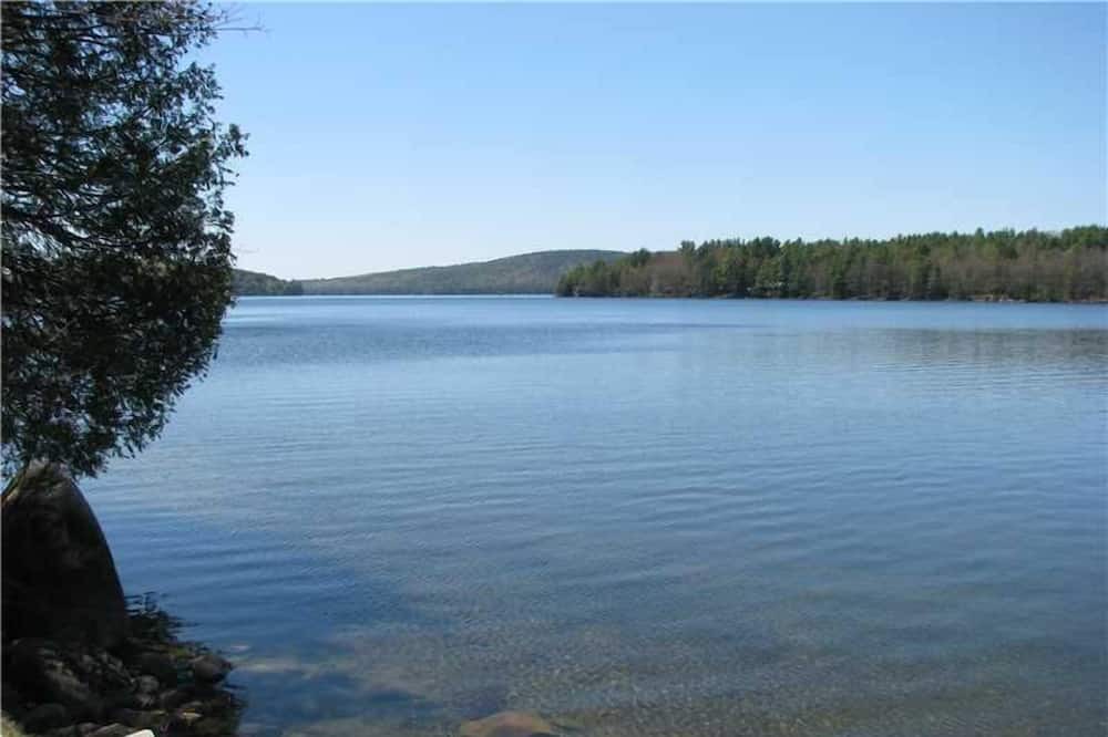 Photo of Outdoor in Rome