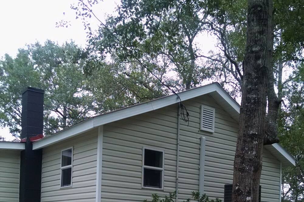 Photo of Others in Colleton County