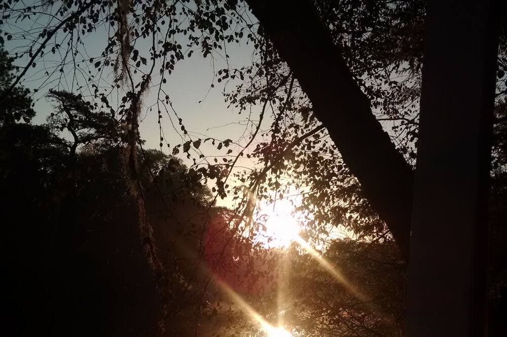 Photo of Others in Colleton County