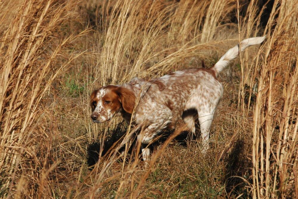 Photo of Outdoor in Pelham