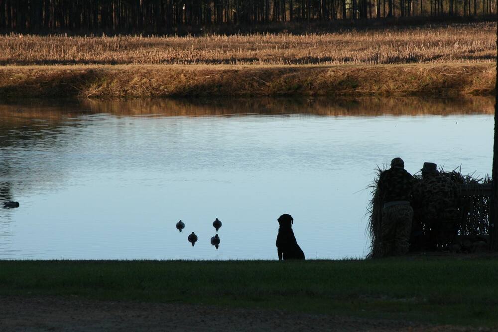 Photo of Others in Pelham