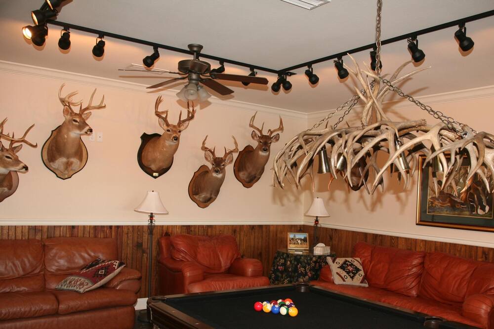 Photo of Outdoor in Pelham