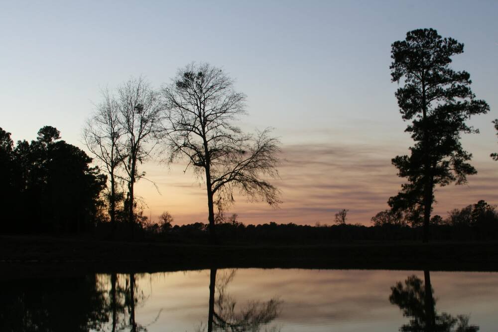 Photo of Others in Pelham