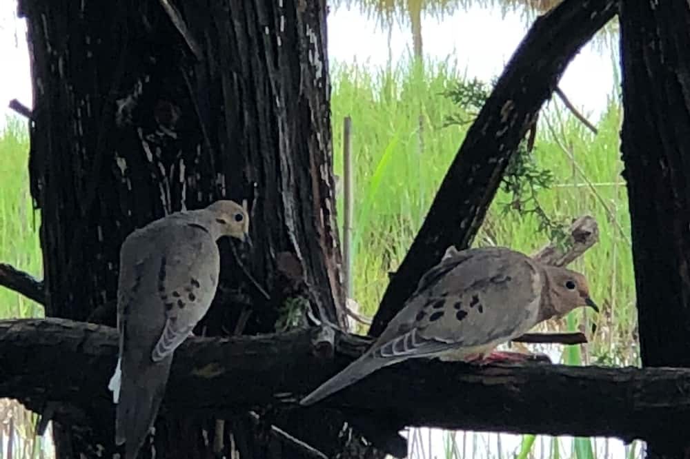 Photo of Others in Osbornsville