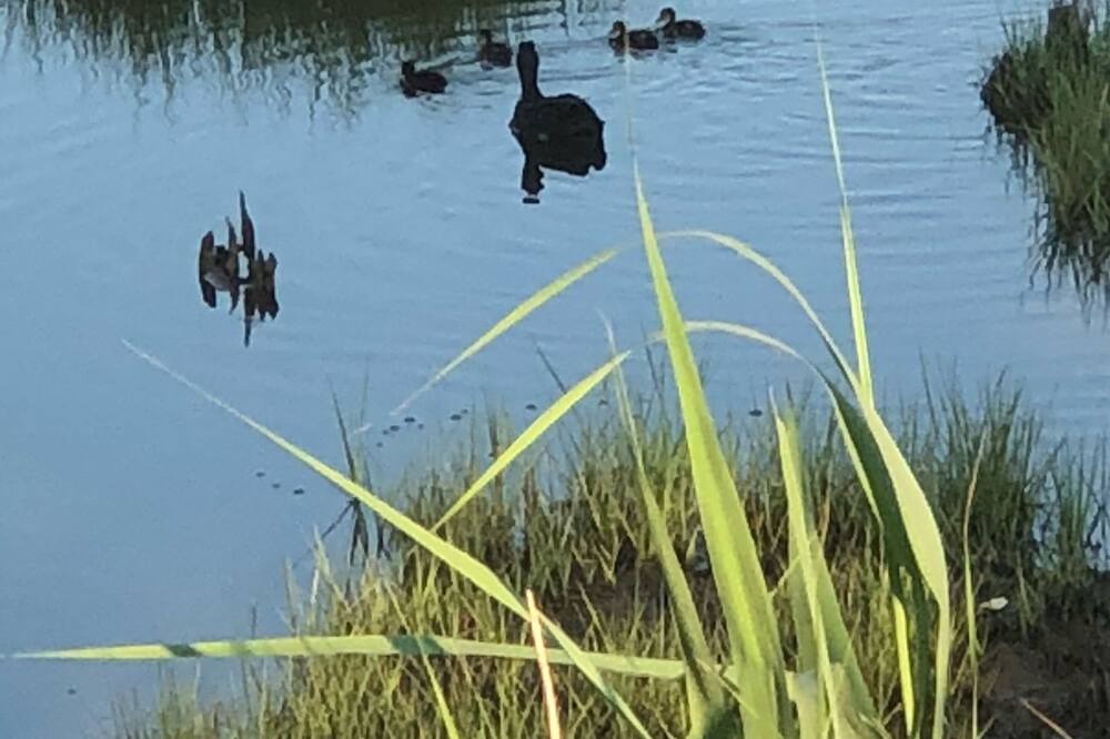 Photo of Others in Osbornsville