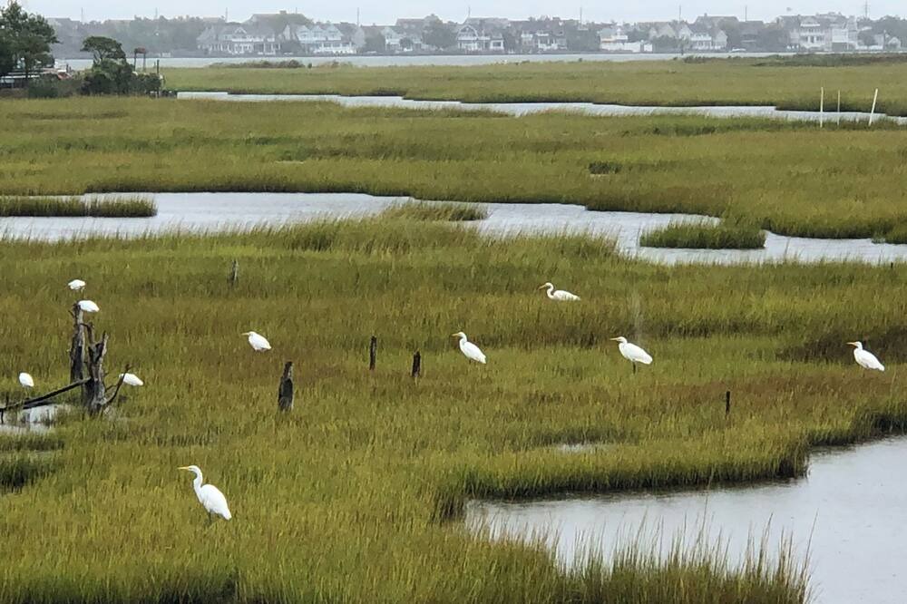 Photo of Outdoor in Osbornsville