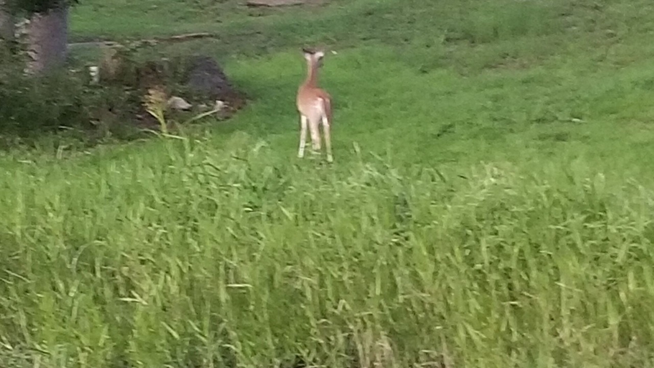 Photo of Outdoor in Hawkins