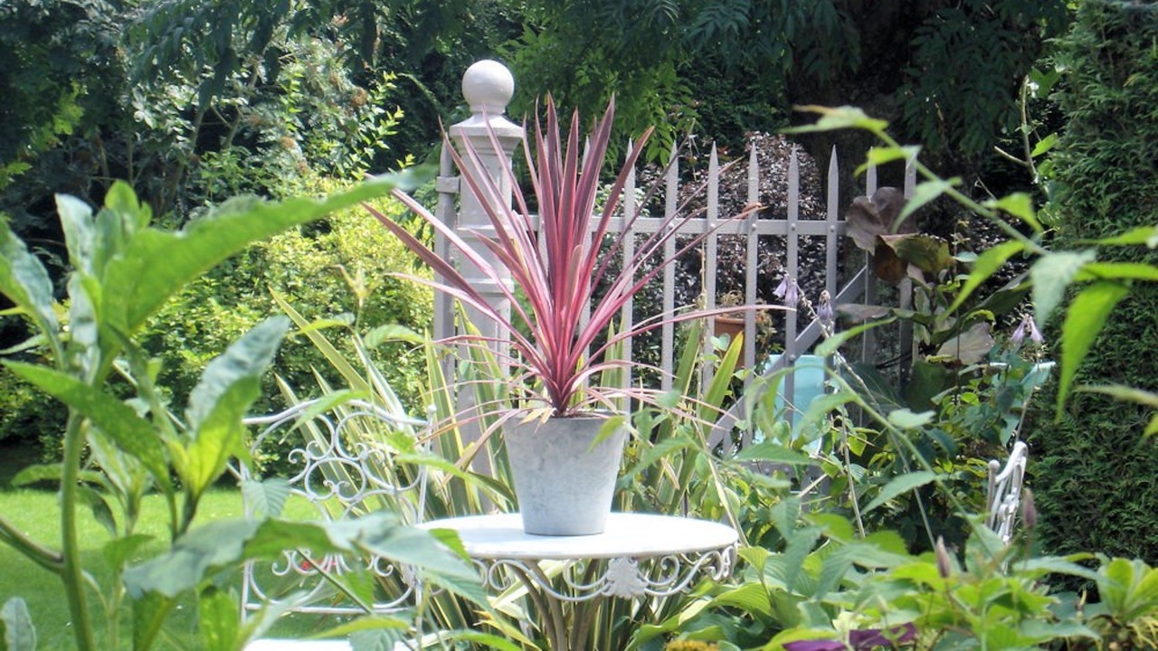 Photo of Outdoor in Sainte-Opportune-la-Mare