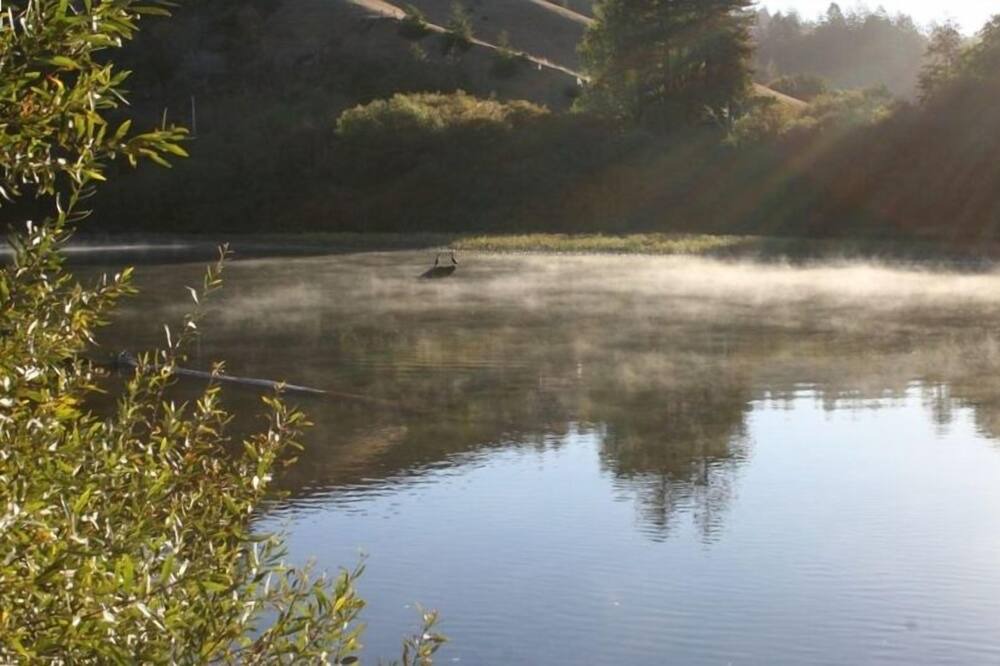 Photo of Others in Duncans Mills