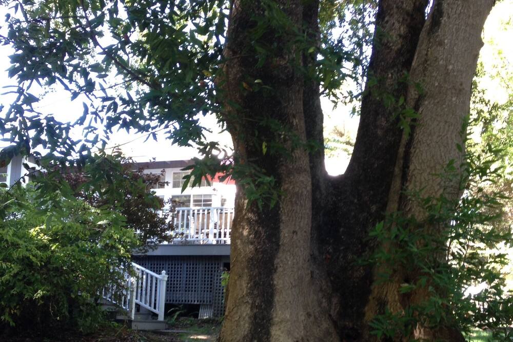 Photo of Others in Duncans Mills