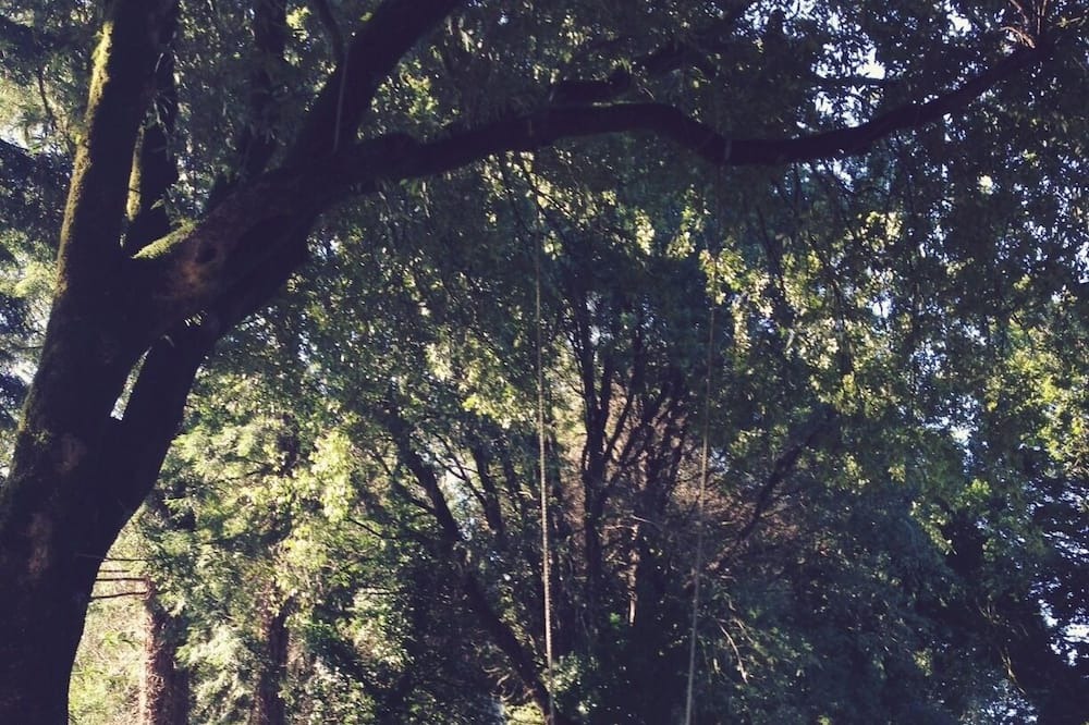 Photo of Others in Duncans Mills