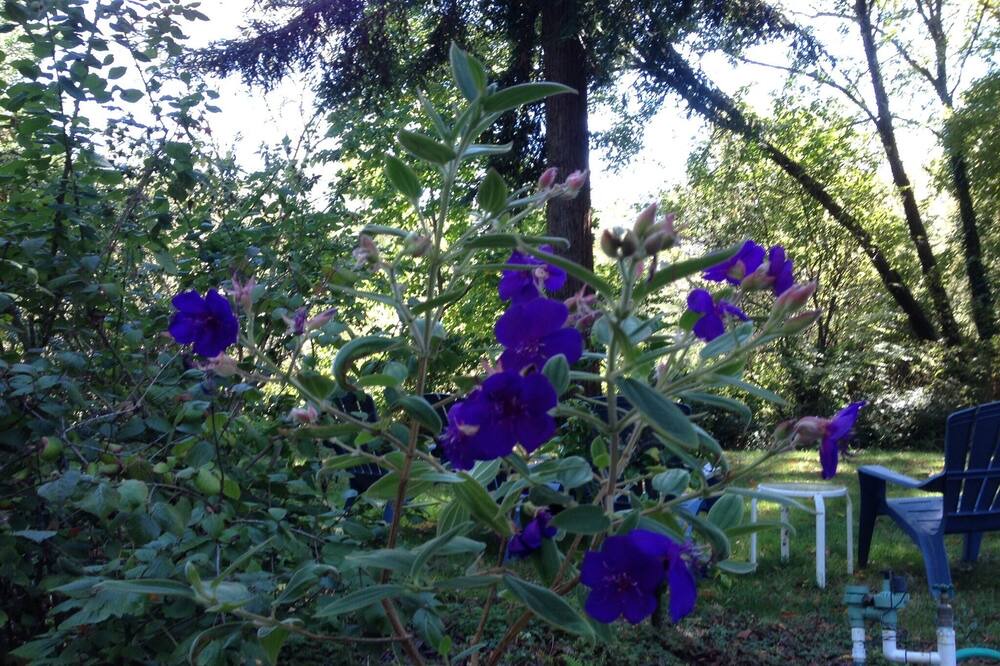 Photo of Others in Duncans Mills