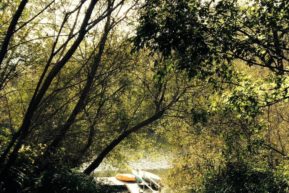 Photo of Others in Duncans Mills